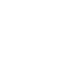 Insivo Barbero Billonario